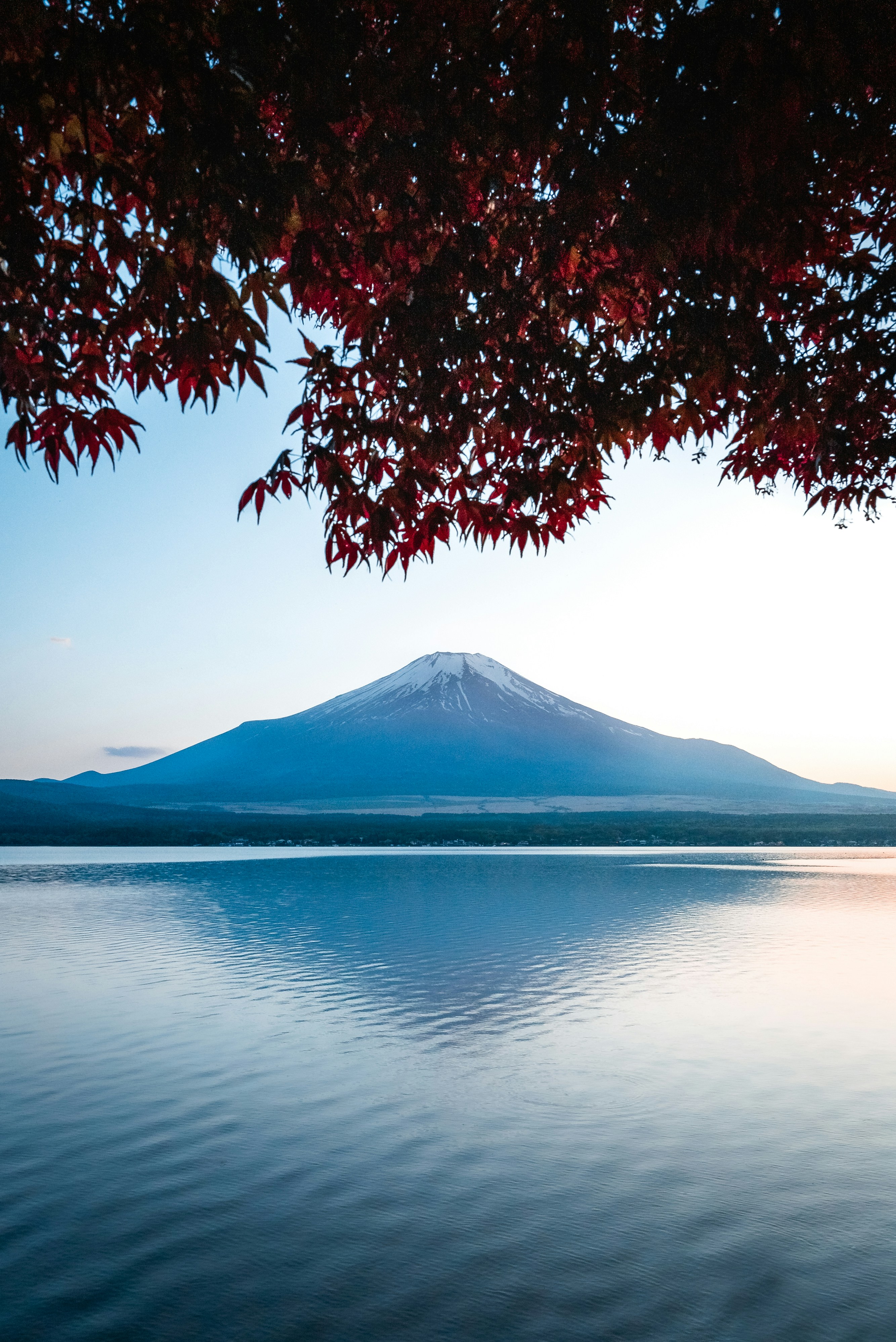 Snow-capped landscape in Japan