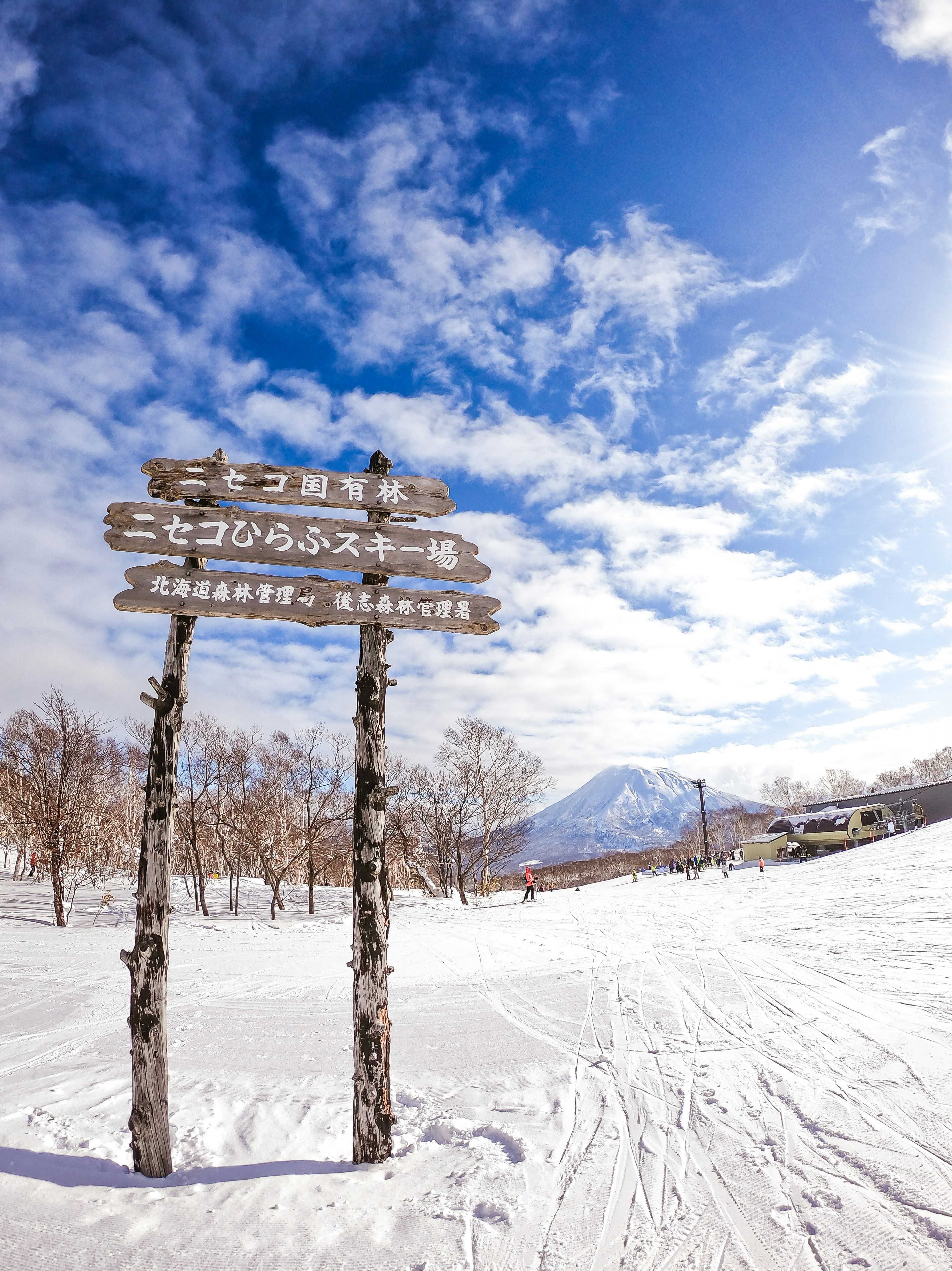 Sweeping view of Hokkaido's snow-capped mountains and vibrant summer flower fields under a clear blue sky